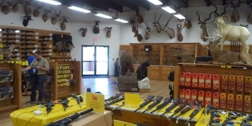 4Shoot-StraigntPinellas-04